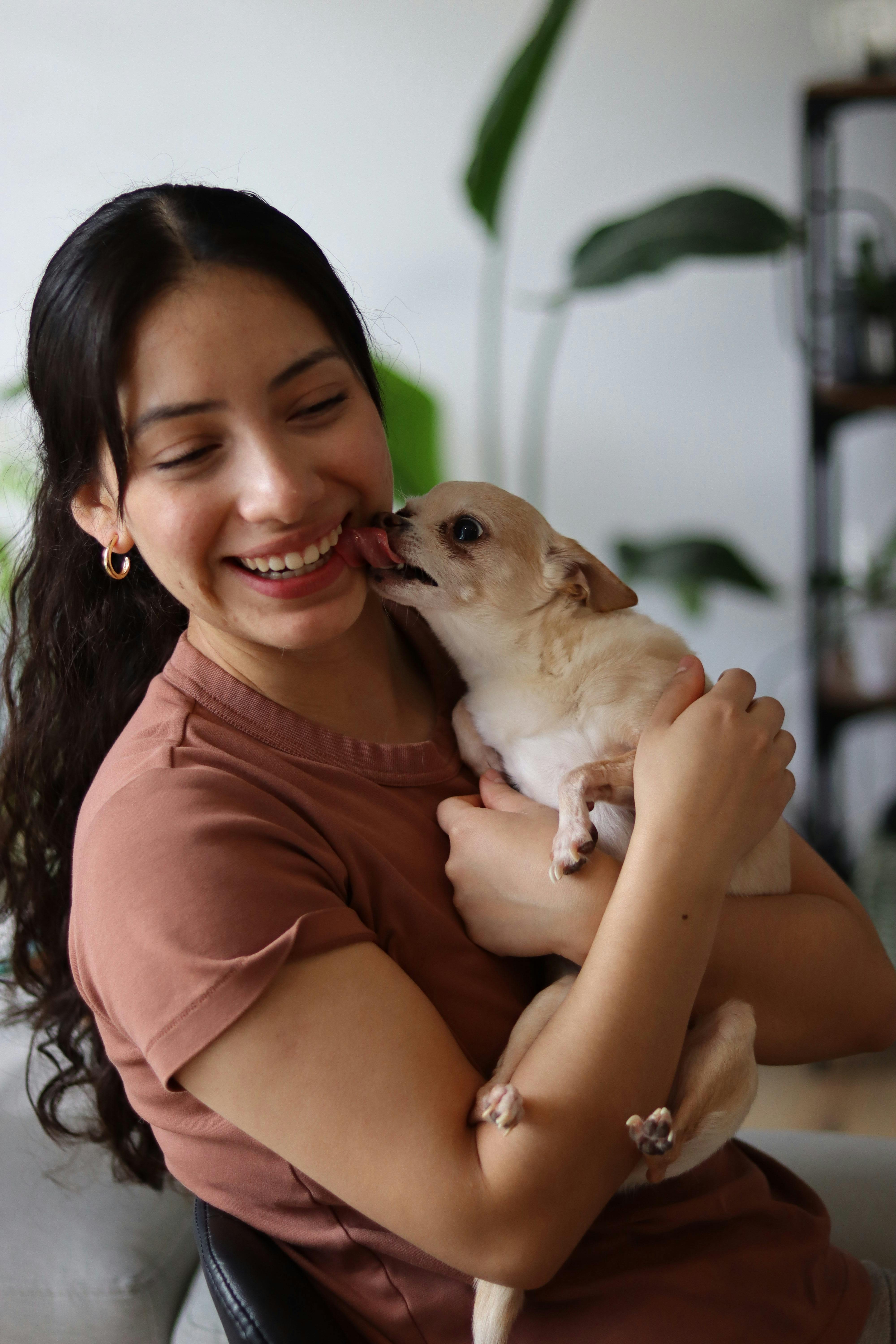 Ways to Keep Your Dog Happy and Your Home Stylish