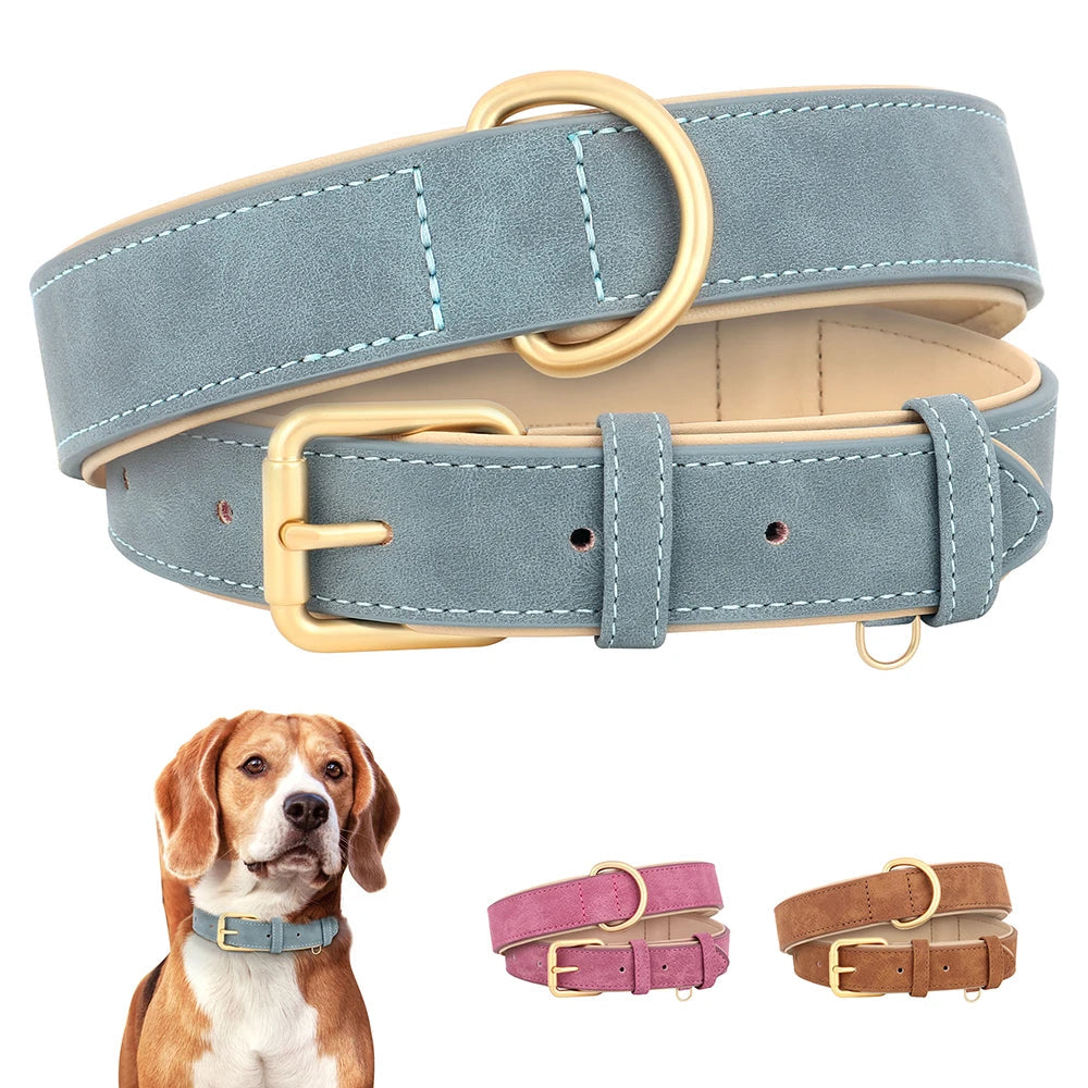 Premium Leather Dog Collar