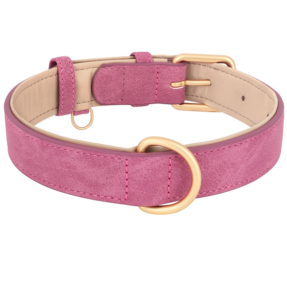 Premium Leather Dog Collar