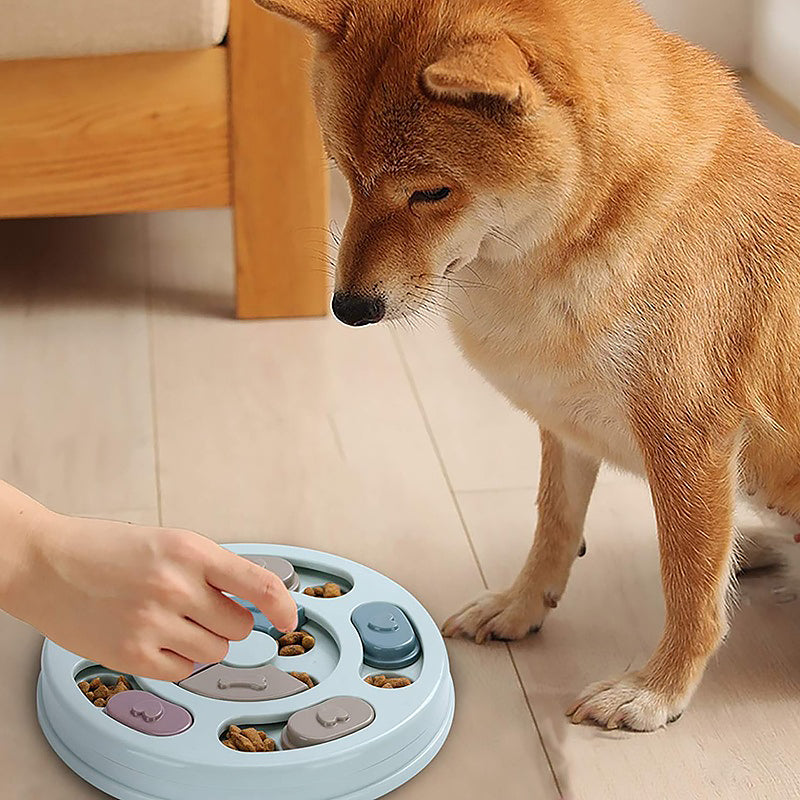 Interactive Dog Puzzle Feeder