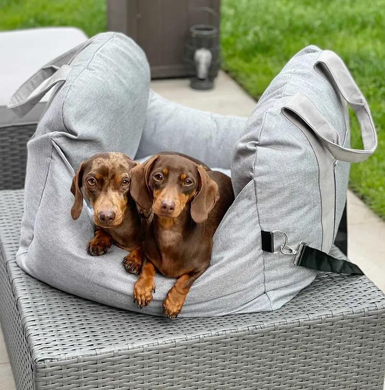 Calming Car Bed for Dogs