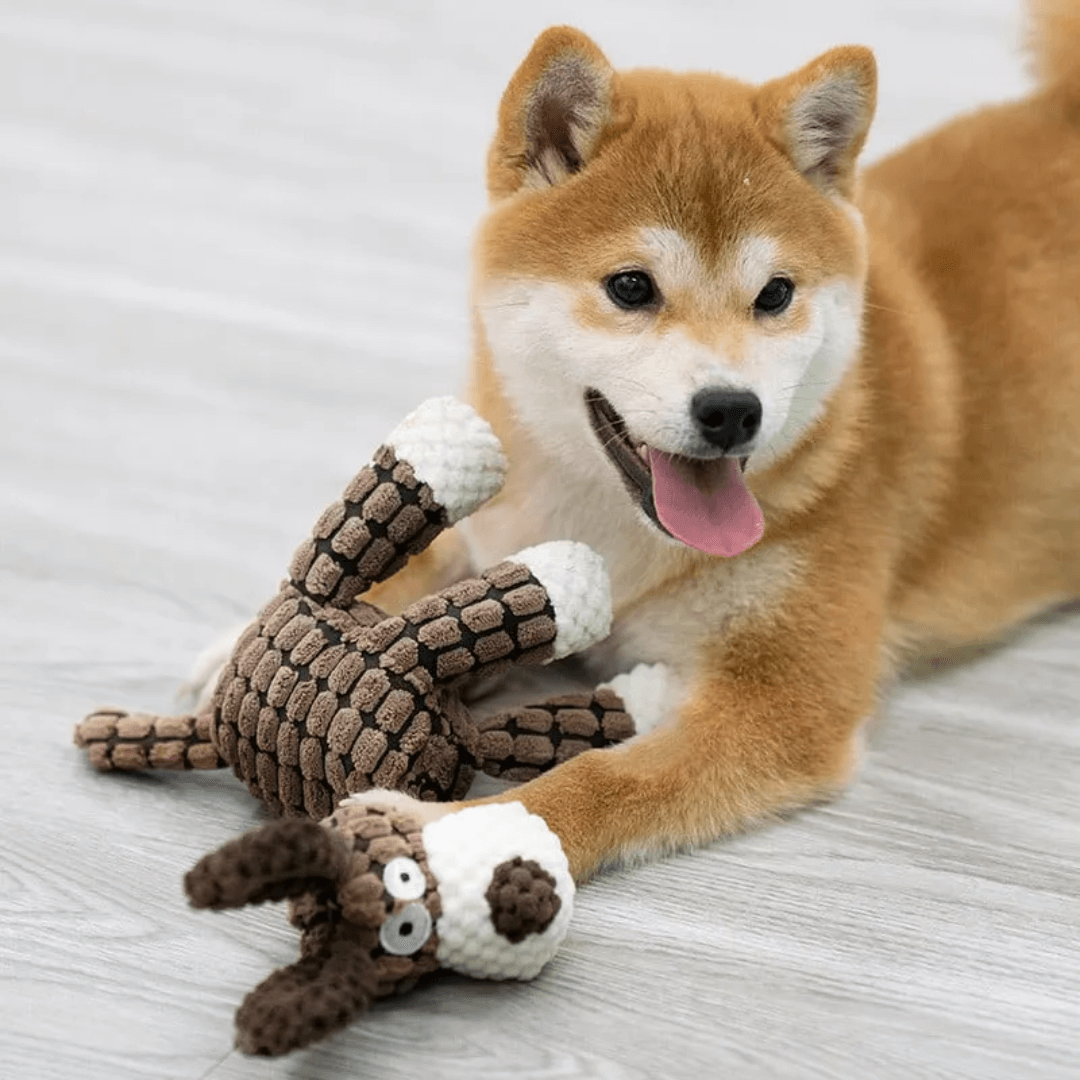 Indestructible Plush Toy for Happy & Healthy Dogs