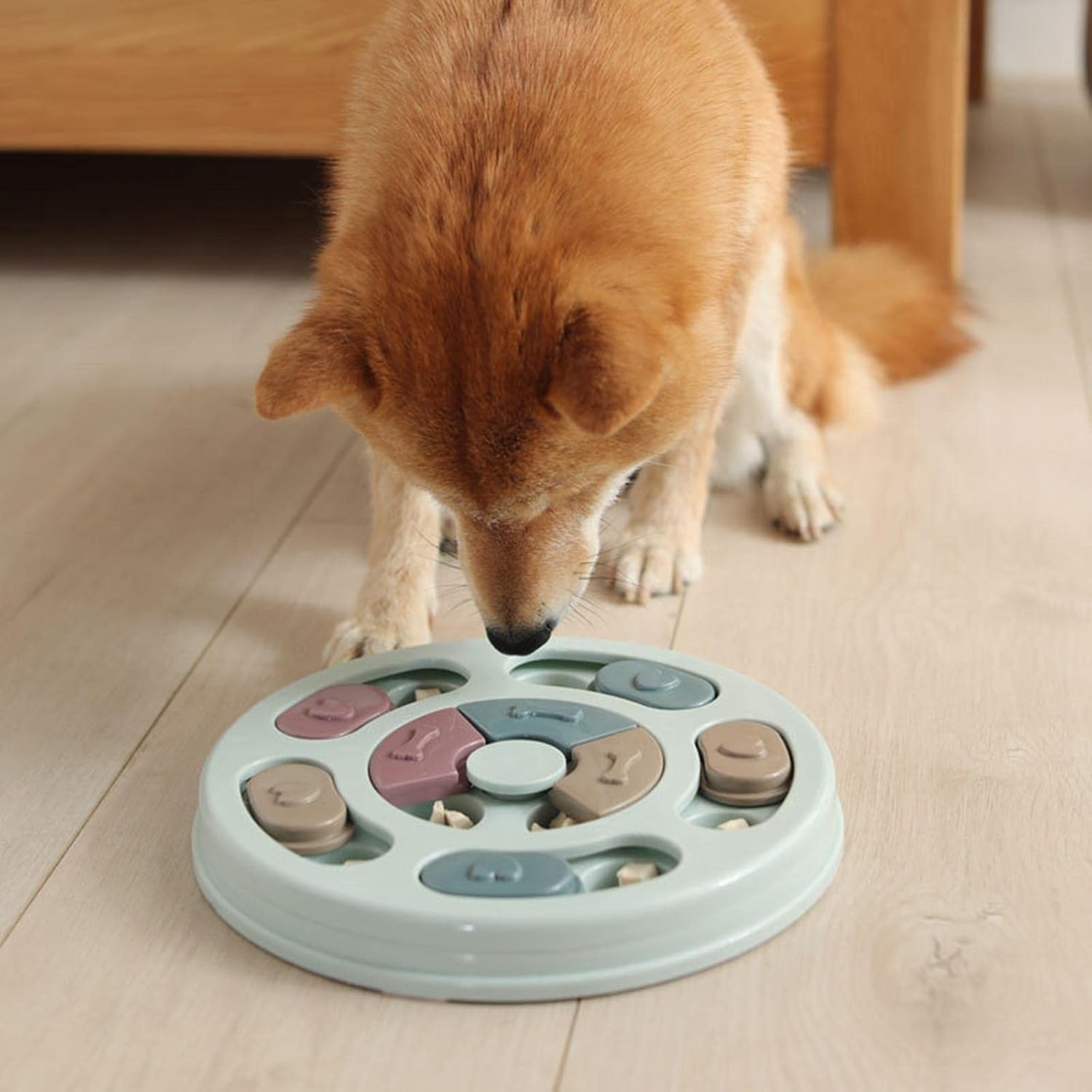 Interactive Dog Puzzle Feeder