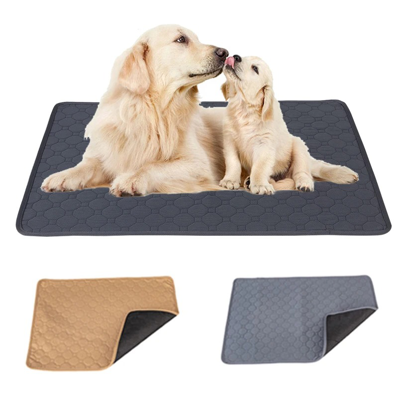 Premium Absorbent Training Mat