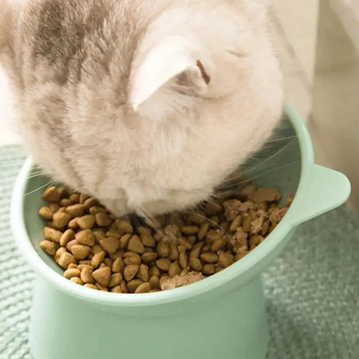 Elevated Comfort Cat Bowl