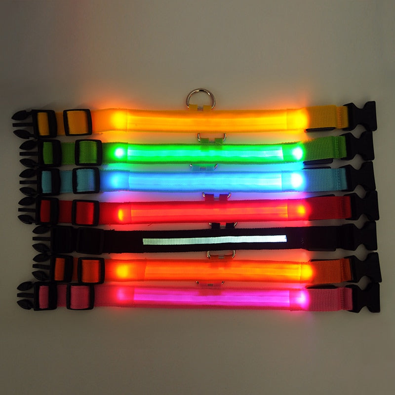 Luminous Dog Collar