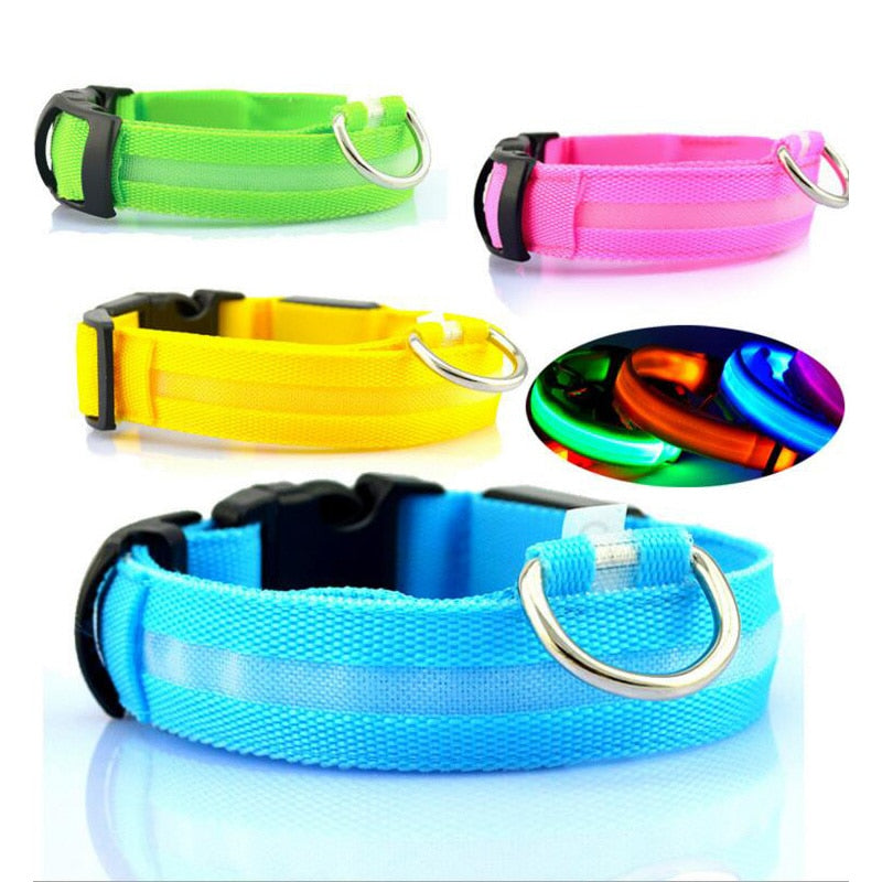 Luminous Dog Collar