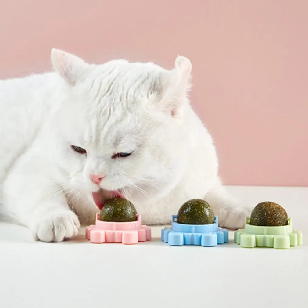 HerbJoy Ball Natural Playtime for Cats