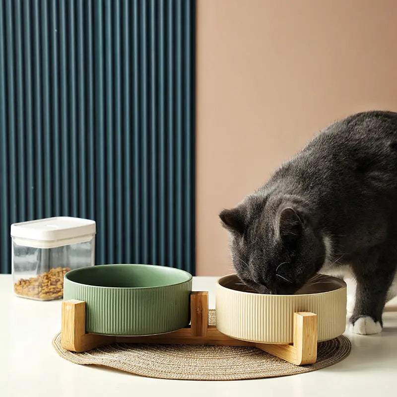 Elevated Ceramic Pet Bowl Set