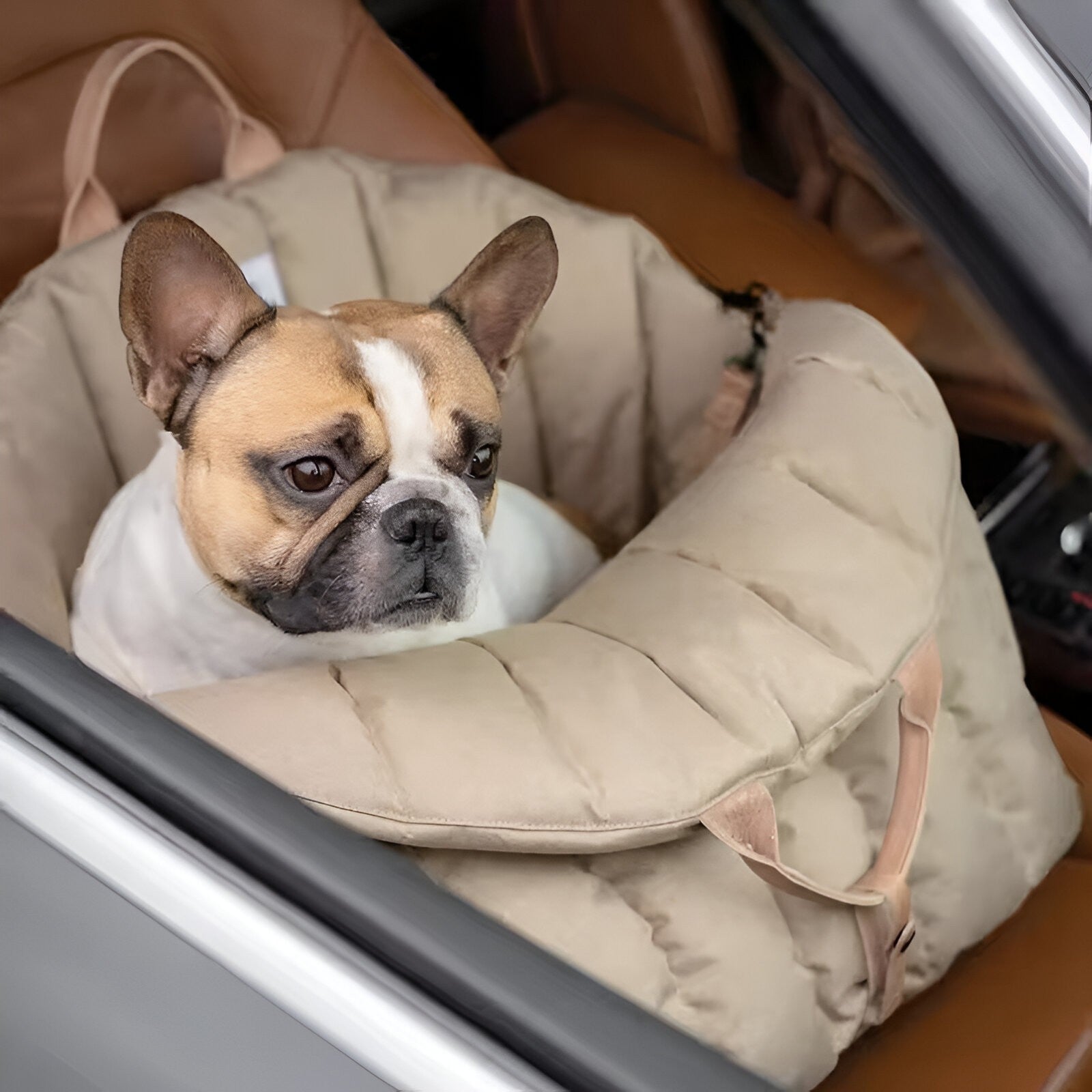 Luxury Dog Carrier Bag