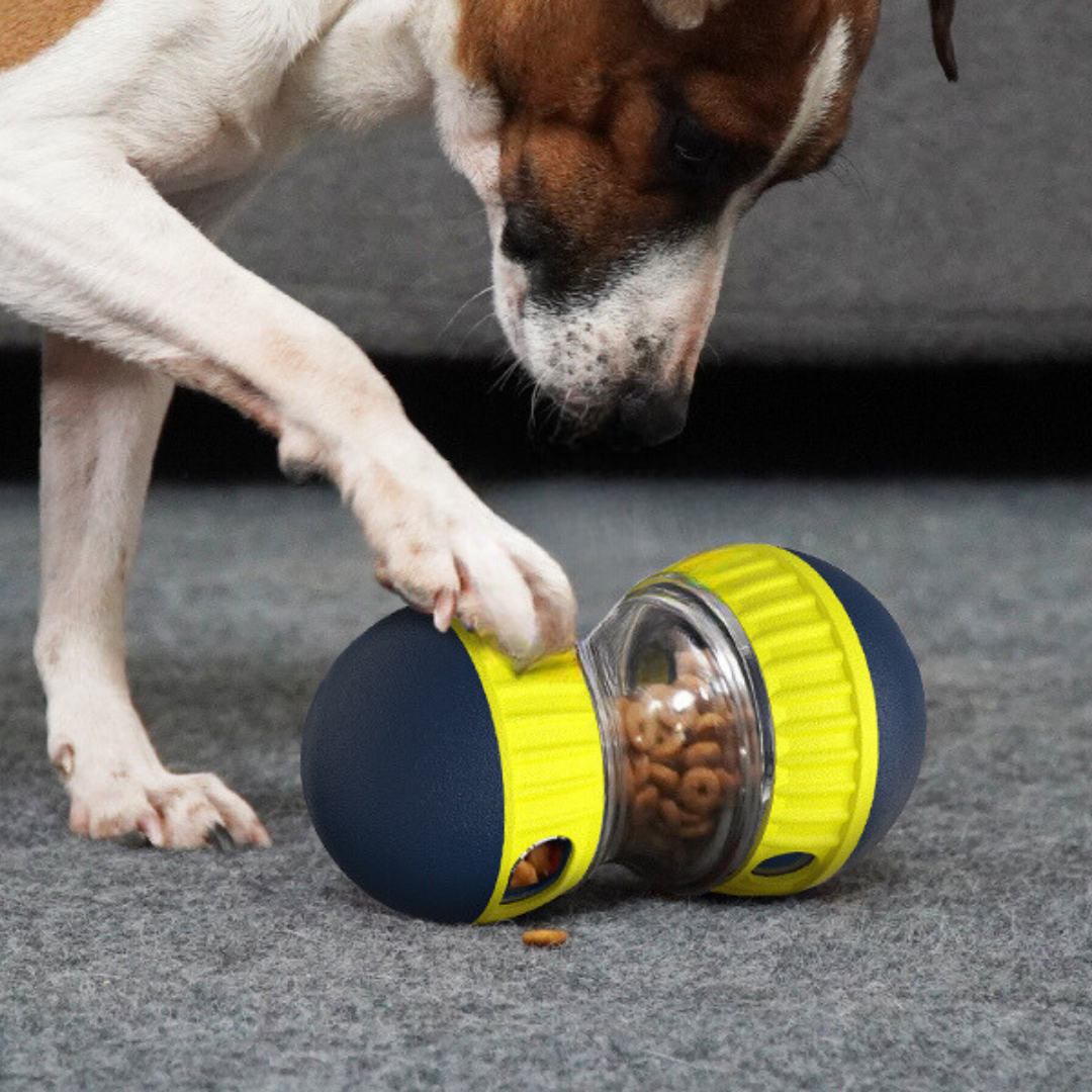 Interactive Slow Feeder Toy for Dogs