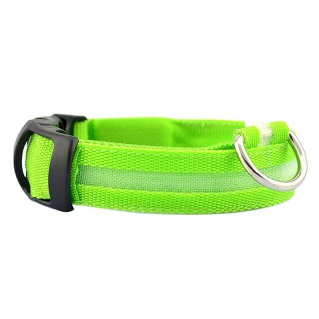 Luminous Dog Collar