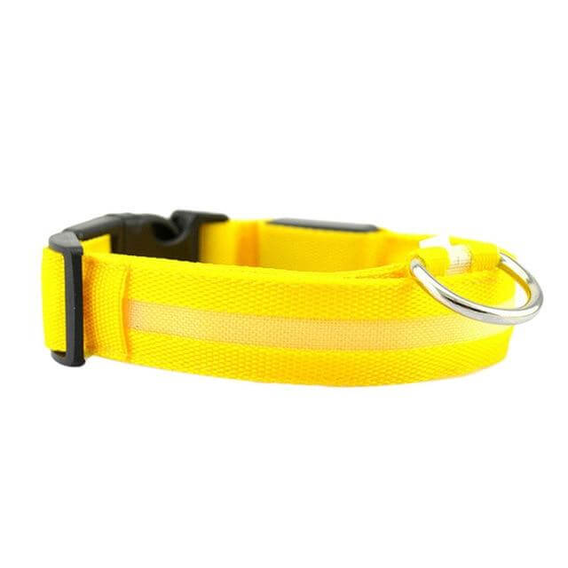 Luminous Dog Collar