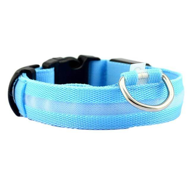 Luminous Dog Collar