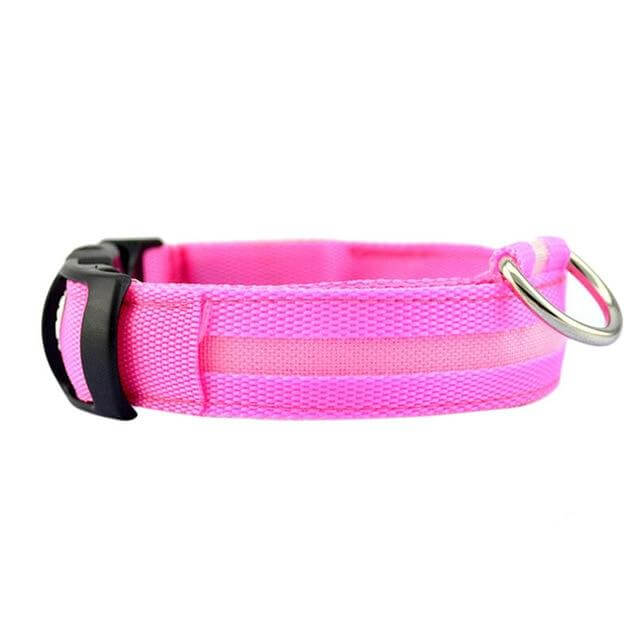 Luminous Dog Collar