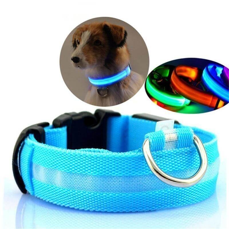 Luminous Dog Collar